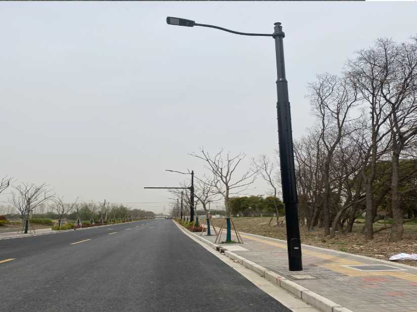 崇川区上海综合杆 太阳能路灯工程